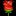 🌹